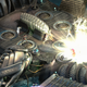 Screenshot: Torment: Tides Of Numenera/inXile Entertainment